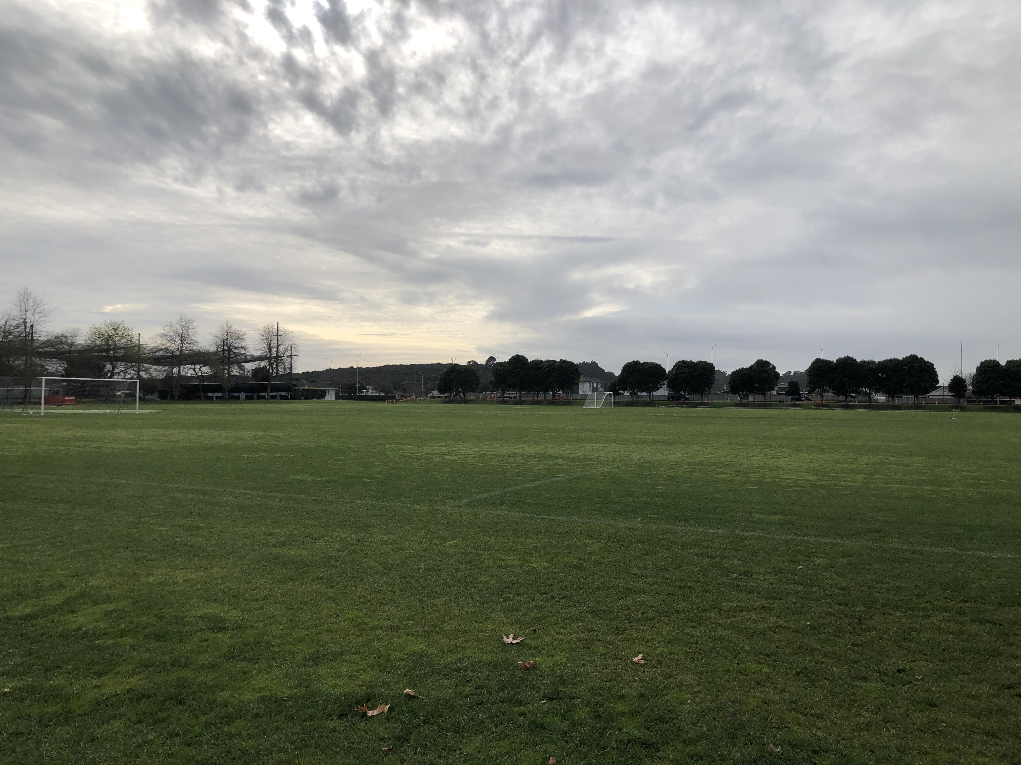 Auditorium Field Image 1