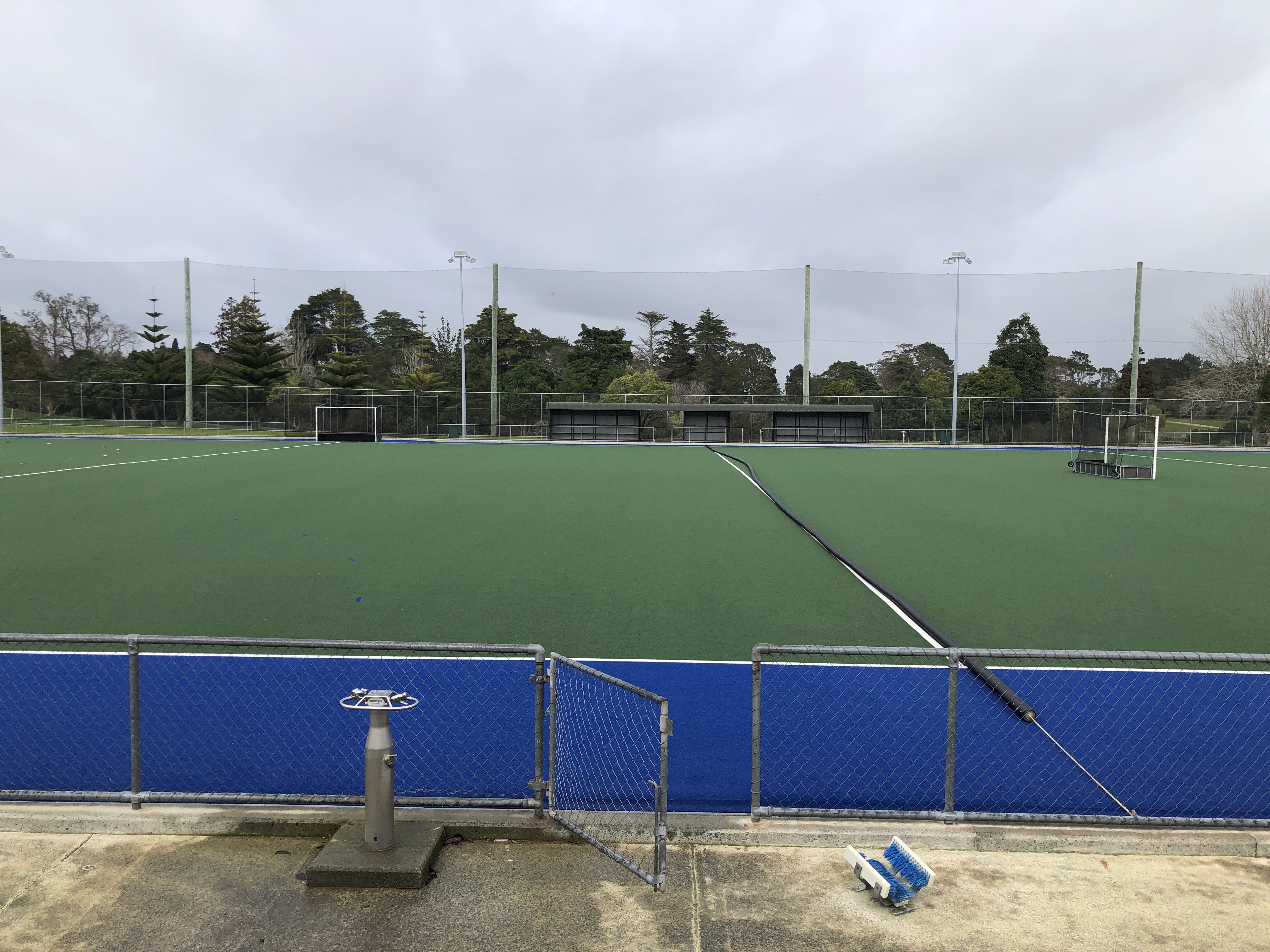 Hockey Turf Image 2